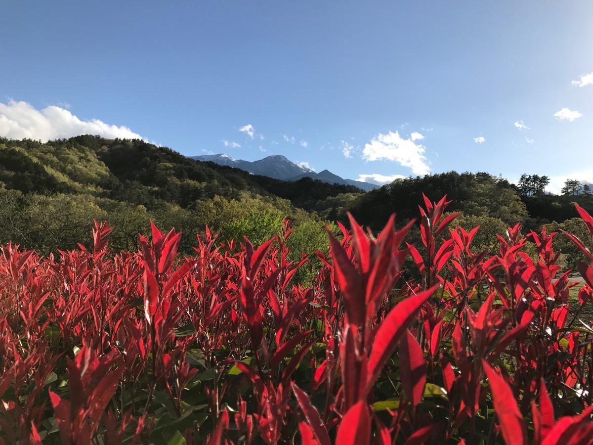 Alps Lodge & Spa Hokuto (Yamanashi) Exterior foto